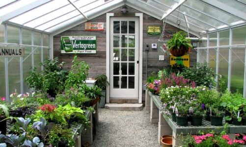 How To Plan Home Greenhouses