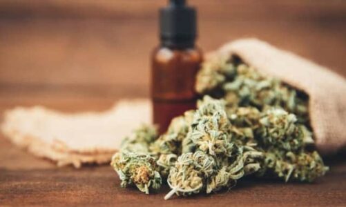 Benefits of CBD Oil