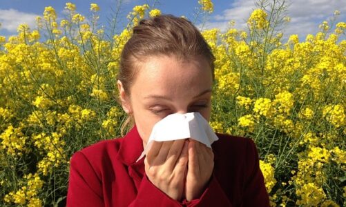 Regulating Plant Pollen Allergic Reactions