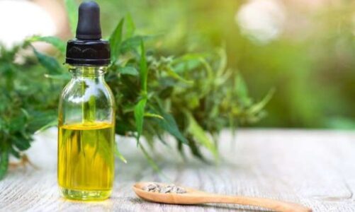 CBD Oil: Benefits and Contraindications